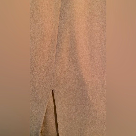 Dress the Population Sandra V Neck Gown: Blush - Picture 8 of 9